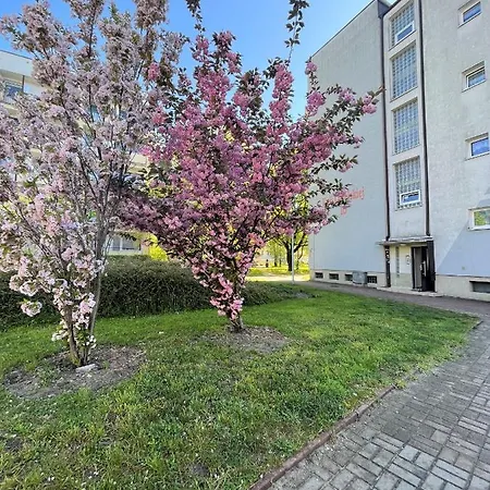 Al-dom Zaciszny Appartement