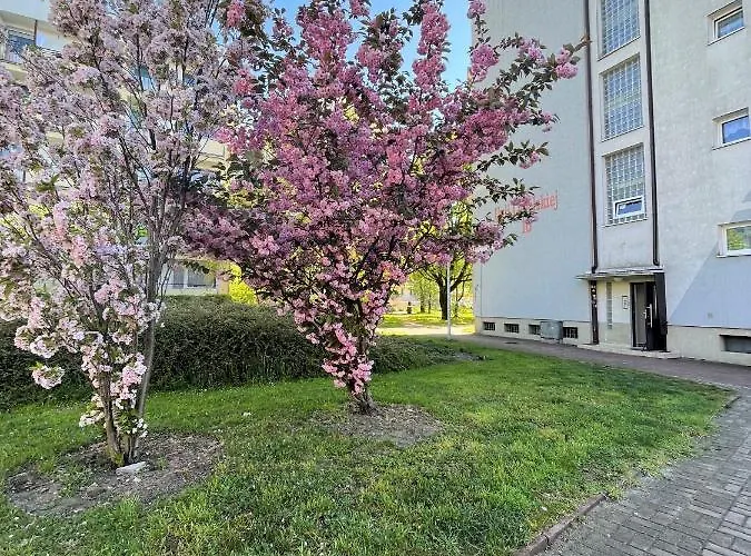 Al-dom Zaciszny Appartement